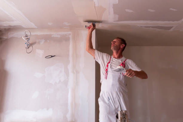 Best Ceiling Drywall Installation  in Queens Gate, PA